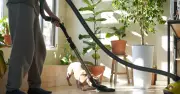 Dogs Trust warns against shouting at vacuum cleaners to cure dog fears