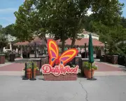 Dolly Parton Announces Dollywood Expansion with New Attractions
