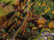 Drive Through a Welsh Forest on a Scenic Seven-Mile Loop