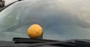 Drivers Urged to Rub Potato on Car Before Thursday