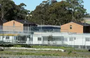 Drug-dealing, weapons and 'culture of fear' at Villawood detention centre, report warns