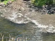 Dunblane river sewage probe as residents demand answers