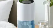 Dunelm 1L dehumidifier cuts to £20 as UK heavy rain hits