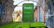 Dunelm Clearance: Five Bedroom Picks to Refresh for Autumn