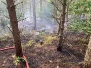 Durham woodland fire under control as residents told to avoid area