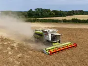 Dustbowl Britain facing 'worst food security crisis in decades' and risk of empty shelves