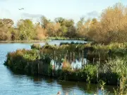 EA warns biodiversity crisis threatens human survival