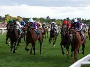 Ebor Festival Day 3: Garry Owen Naps Rayevka for Nunthorpe Stakes Glory