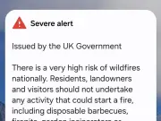 Emergency alert sent to phones in England and Wales with wildfire warning