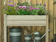 End of Summer Deal on Planter, Gardeners Say 'Looks Good'