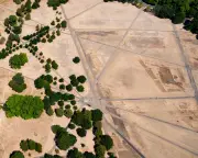 England's climate change demands new planting choices