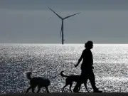 Environment Agency warns dog owners after Blyth beach pollution