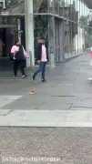 Escaped snake lunges at shoppers in Glasgow city centre