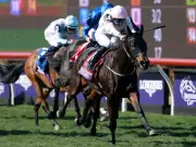 Ethical Diamond tipped to shine again at Leopardstown