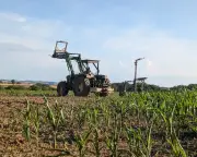 Europe's farmers face 'unprecedented crisis' after heatwaves