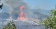 Exeter fire: 20 engines tackle Mincinglake Valley Park blaze