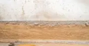 Fabric softener trick keeps skirting boards dust-free for longer