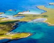 Falkland Islanders Seek Referendum on Salmon Farm Plans