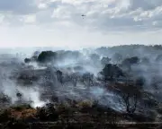 Farmers Urge Temporary Ban on Disposable Barbecues