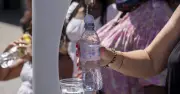 Fifth UK Heatwave Triggers Health Alerts as Temperatures Soar to 36C
