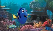 Fin-tastic Fish Puzzle: Can You Solve It?