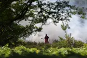 Firefighters Battle 'Devastating' New Forest Heathland Blaze