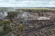 Firefighters Still Battling Peatland Fire at Holme Fen After 11 Days