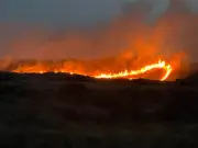 Firefighters tackle major gorse blaze in Formby dunes