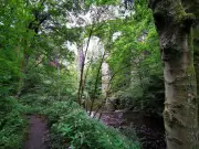 Fireworks warning in Rochdale nature reserve amid wildfire fears