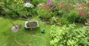 Five essential garden jobs to complete before August ends