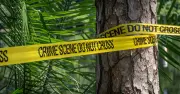 Five murder investigations launched after bodies found on Oregon property