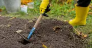 Five September gardening jobs that make a huge difference