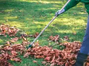 Five September gardening tasks to prepare your garden for autumn
