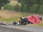 Five teen boys killed in M9 crash named locally