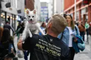 Fleadh Belfast visitor numbers to pass one million