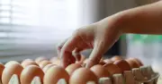 Food waste expert settles the egg storage debate