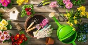 Free £10 to Spend at YouGarden: How to Claim Your Voucher