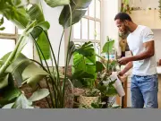 Free string and bucket trick keeps plants watered on holiday