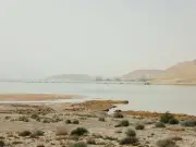 Freshwater Pools at Dead Sea Stun Scientists, Spark Biblical Debate