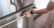 Fridge freezers cost households £68.96 a year in energy bills