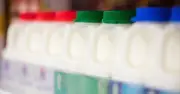 Full-fat milk healthiest: study debunks skimmed and semi-skimmed myths