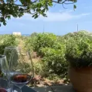 Gaia Winery on Santorini: The Vineyard I'd Return to in a Heartbeat