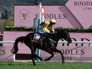 Galopin Des Champs Retires: Mullins Confirms Dual Gold Cup Hero's Exit