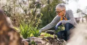Garden expert reveals 5 jobs to do by September – and the 1 thing you shouldn't rush