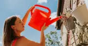Garden Expert Warns Popular Plants May Not Survive Heatwave