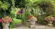 Garden focal points: David Domoney's tips for mid-August standout features