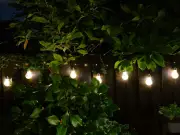 Garden light rules to avoid neighbour rows this summer