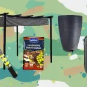 Garden upgrades to help outdoor spaces survive summer heatwaves