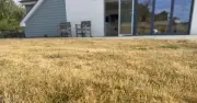 Gardener Shares Key Lawn Care Advice for Heatwave-Brown Grass