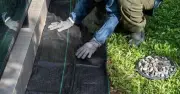 Gardener warns landscape fabric can harm plants and soil